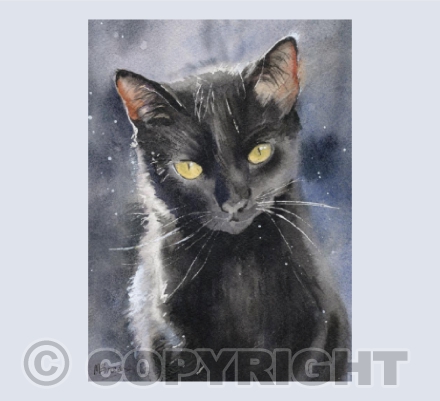 Black Cat 'Rosie'