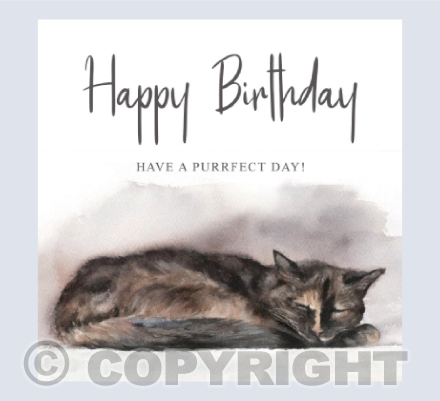 'Fudge' Tortoiseshell Cat
