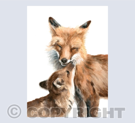 Foxes Kissing