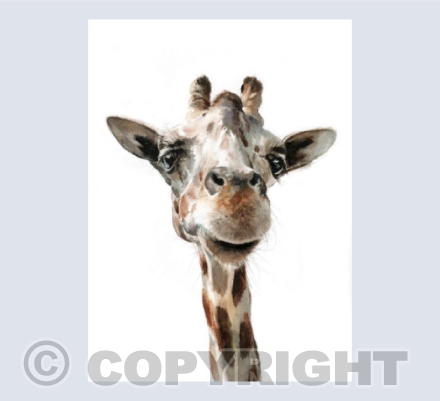 Gerald Giraffe