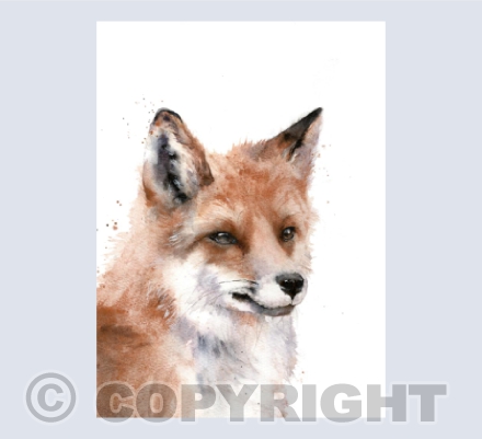 'Rusty' Fox