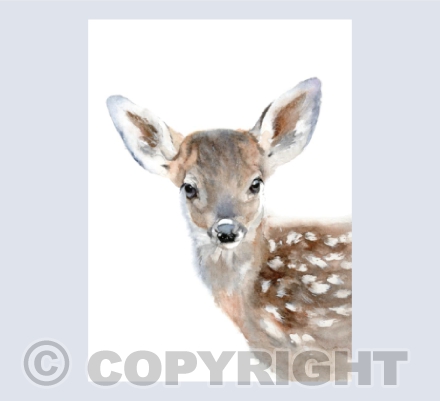 'Baby Dee' Fawn