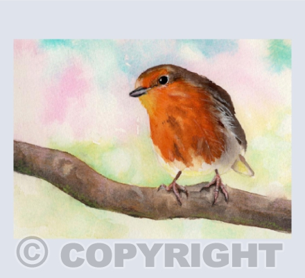 Robin - in Watercolour