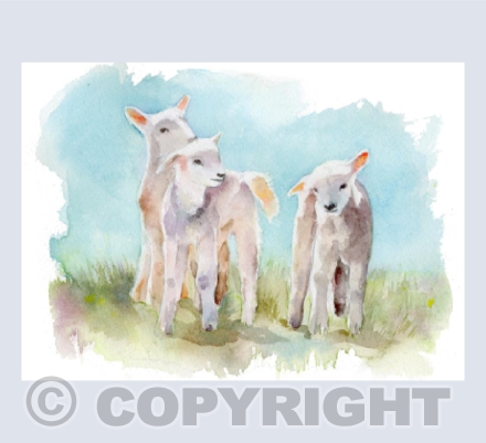 'The Three Amigo's' Watercolour Painting