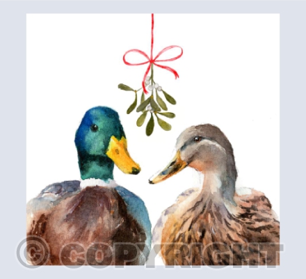 ' Mav & Moll ' - Under the Mistletoe