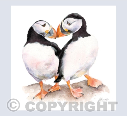 'Puffin Love' - Watercolour Painting