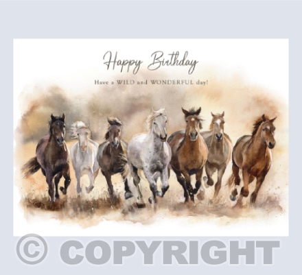 Wild Horses - Birthday Card