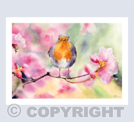 Spring Robin Watercolour