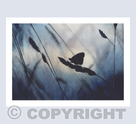 'Butterfly Blue' - Watercolour Painting