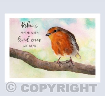 'Robins appear when loved ones are near'