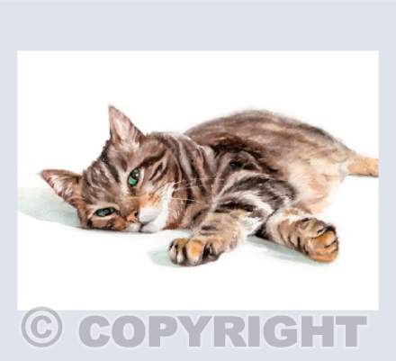Resting Tabby Cat - Watercolour