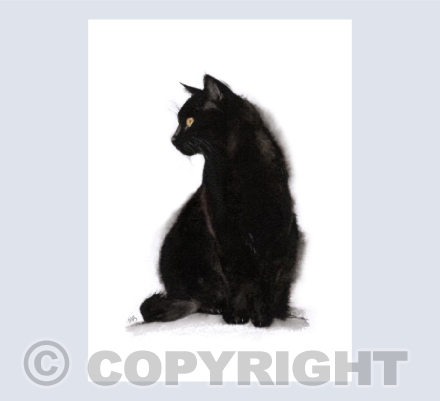 Fluffy Black Cat - in Watercolour