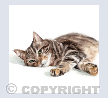 Resting Tabby Cat - A Watercolour Painting