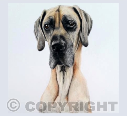 Oscar