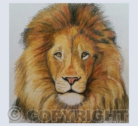 King of the Jungle