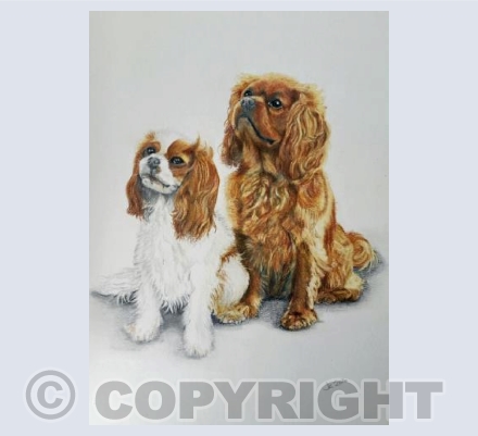 Bobby & Steppie