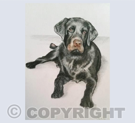 Jasper