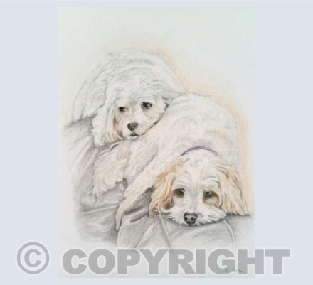 Milly & Molly