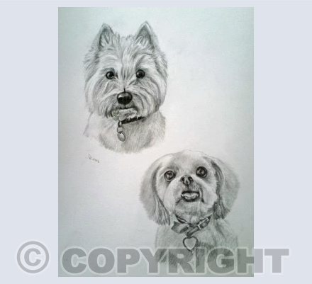 Alfie & Lucie