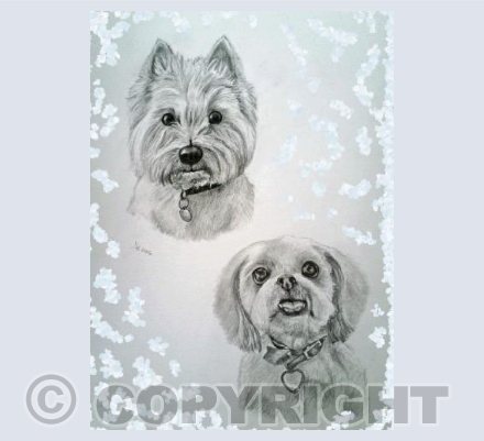 Alfie & Lucie in the snow