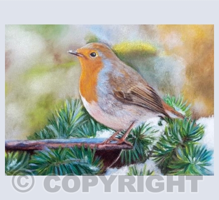 Robin