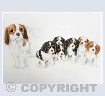 Bella's puppies