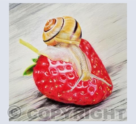 Strawberry Snail