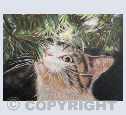 Christmas Cat