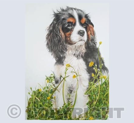 Bramble