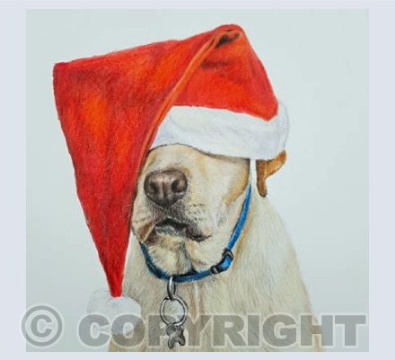 Santa's Helper