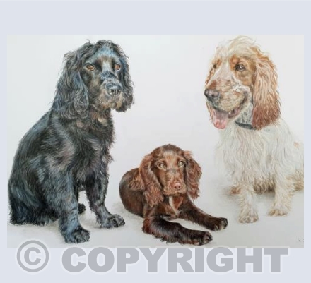 Winston, Wilf and Ted