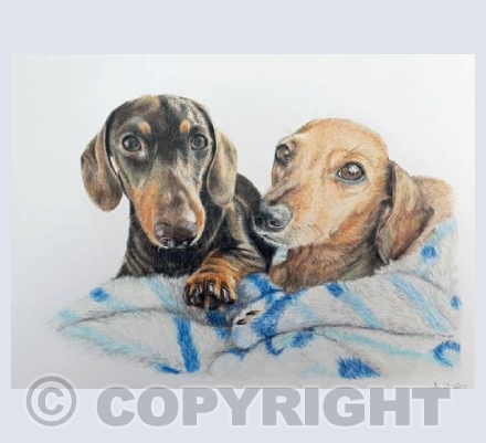 Cedric and Luna