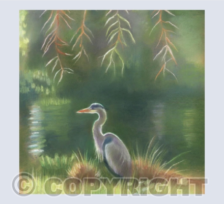 Heron at Fisher's Pond