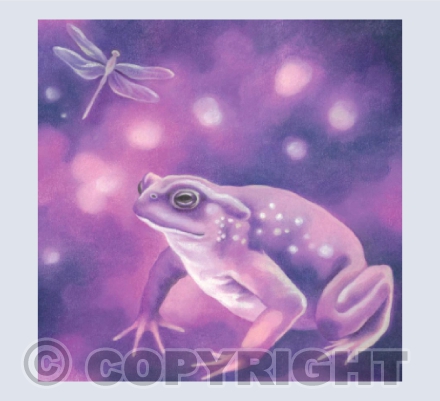 The Toad and the Dragonfly