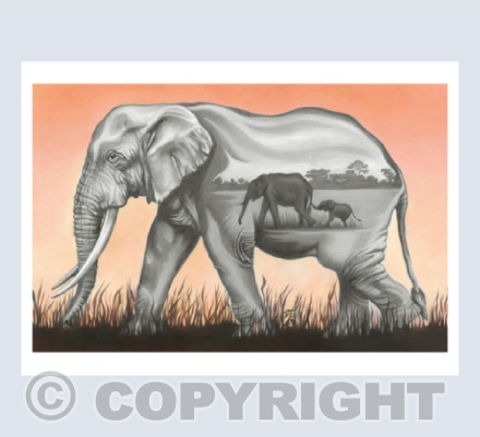 Matriarch. The Love of Elephants.