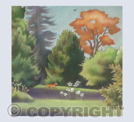 Orange dog in Terrace Gardens