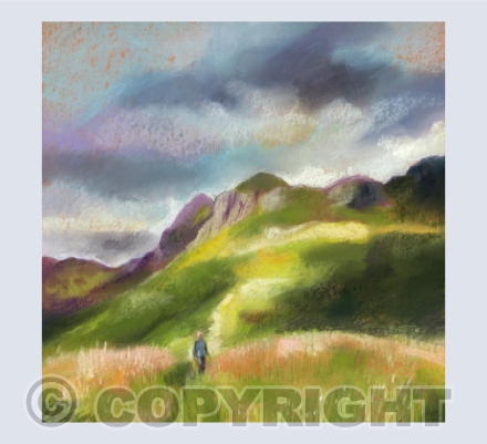 Wandering in the Langdales