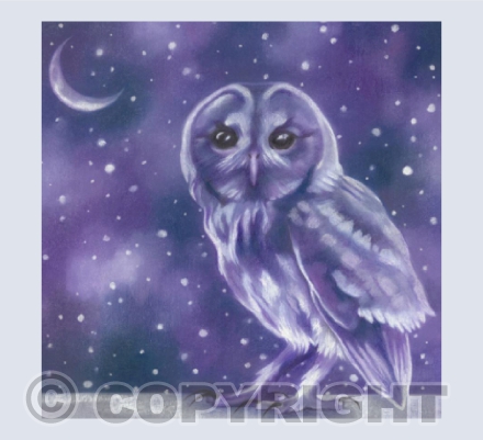Bright Night Owl