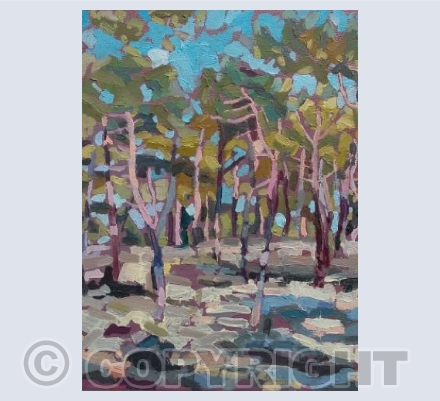 Dusk at La Tremblade