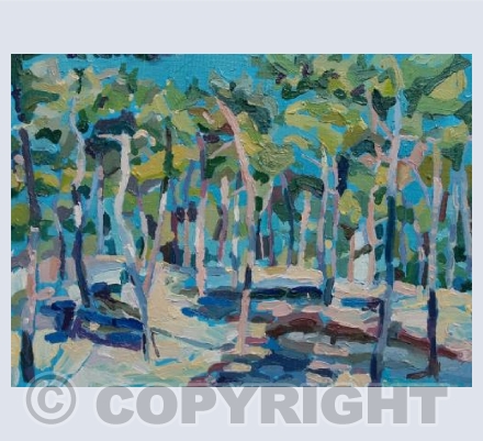 Noon at La Tremblade