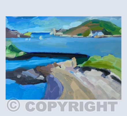 Appletree Road View, Tresco.