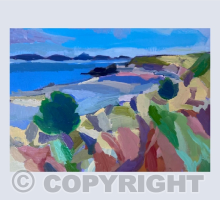 View To The Islands, Tresco.