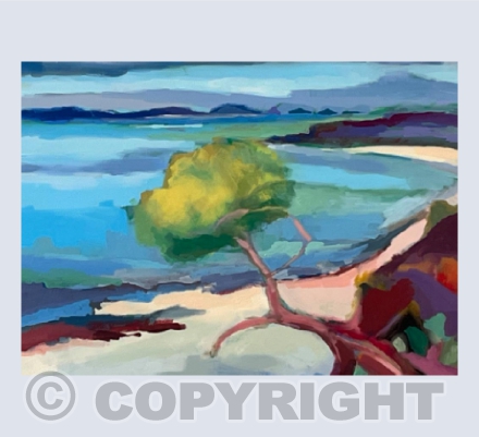 Low Light on Tresco