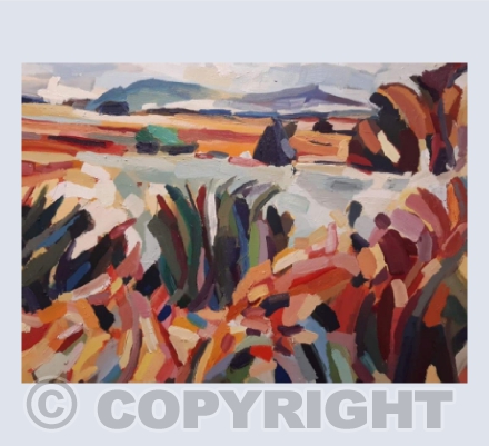 Open Plain