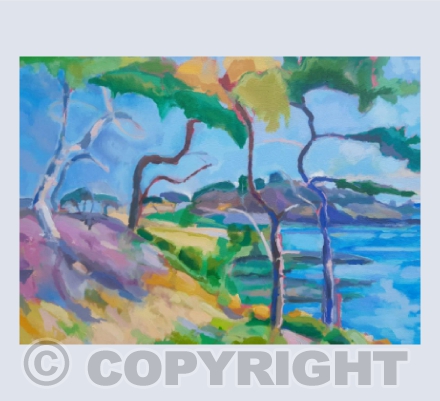 Cornish Cedars 4