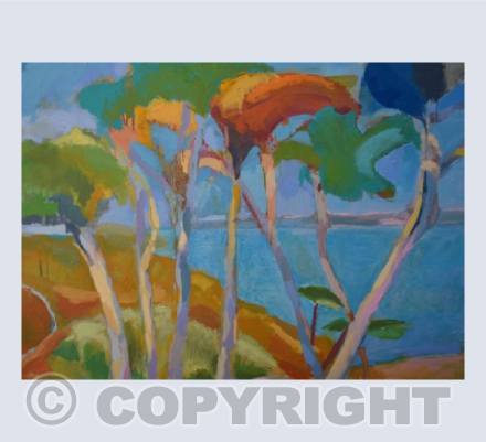 Cornish Cedars 3