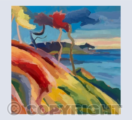 St Anthony's Cedar Coast