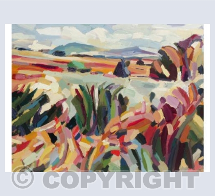 The Sperrins