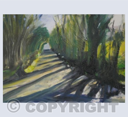 Morning Light in the Lane