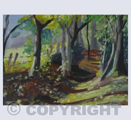 Smallcombe Wood, Autumn Sunshine